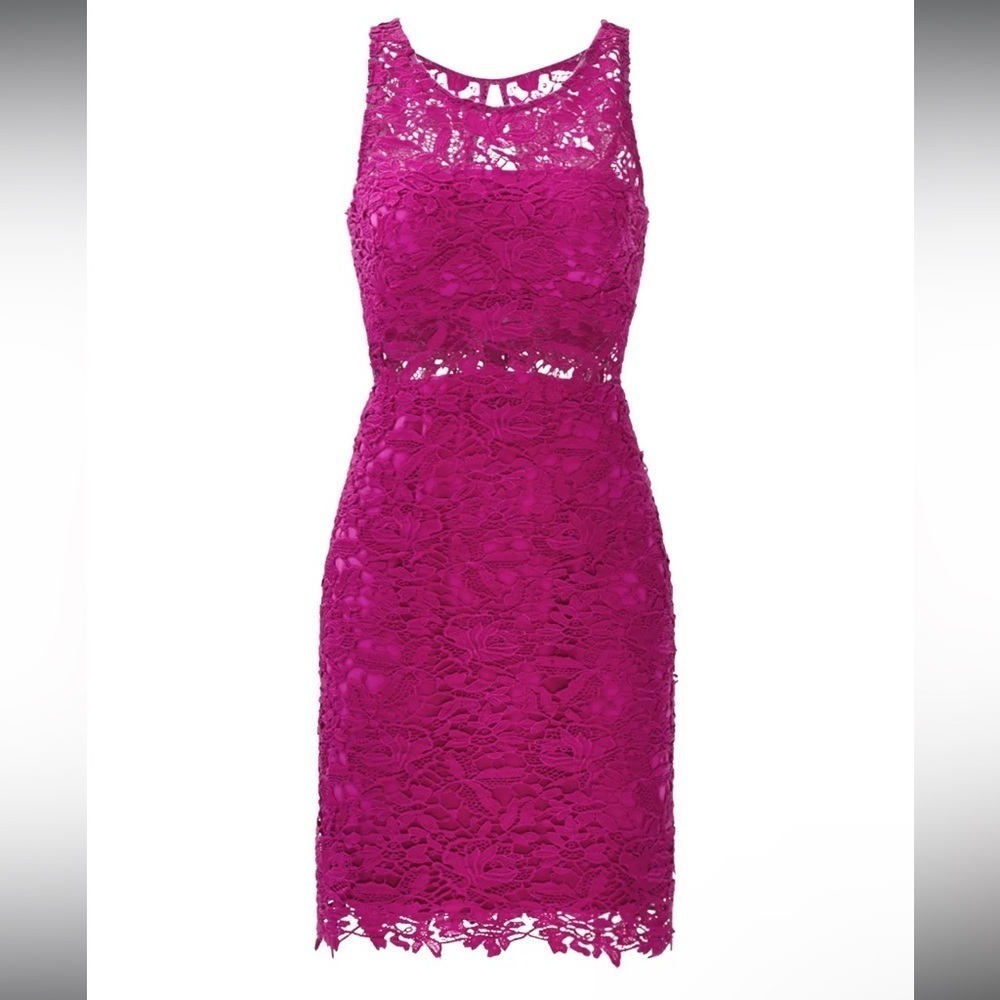 ML Monique Lhuillier Mulberry Purple Lace Sheath Formal Dress- Size 4
